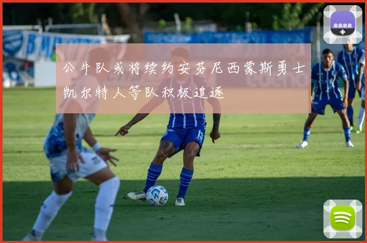 公牛队或将续约安芬尼西蒙斯勇士凯尔特人等队积极追逐