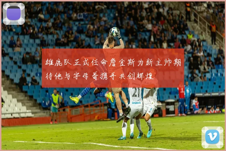雄鹿队正式任命詹金斯为新主帅期待他与字母哥携手共创辉煌