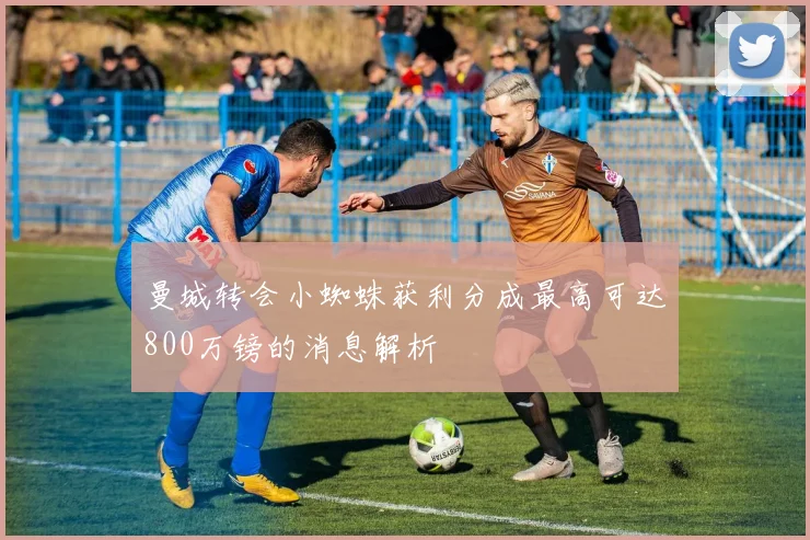 曼城转会小蜘蛛获利分成最高可达800万镑的消息解析